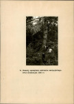 Ewidencja parkowa, skan nr 23