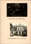 Ewidencja parkowa, skan nr 24