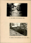 Ewidencja parkowa, skan nr 25