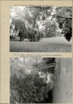 Ewidencja parkowa, skan nr 22