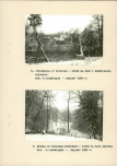EP - Ewidencja parkowa, skan nr 20
