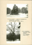 EP - Ewidencja parkowa, skan nr 23