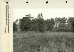 Ewidencja parkowa, skan nr 24