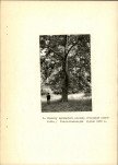 Ewidencja parkowa, skan nr 20