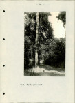 Ewidencja parkowa, skan nr 24