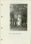 Ewidencja parkowa, skan nr 19