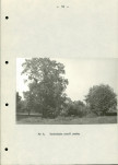 Ewidencja parkowa, skan nr 20