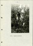 Ewidencja parkowa, skan nr 22