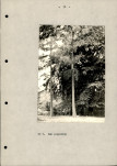 EP - Ewidencja parkowa, skan nr 41
