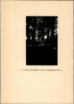EP - Ewidencja parkowa, skan nr 19