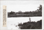Ewidencja parkowa, skan nr 29
