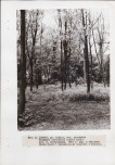 Ewidencja parkowa, skan nr 33