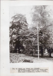 Ewidencja parkowa, skan nr 35