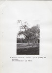 EP - Ewidencja parkowa, skan nr 17