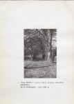 EP - Ewidencja parkowa, skan nr 19