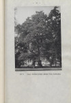 Ewidencja parkowa, skan nr 59