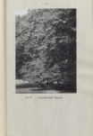 Ewidencja parkowa, skan nr 61