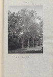 Ewidencja parkowa, skan nr 62