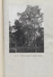 Ewidencja parkowa, skan nr 64
