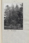 Ewidencja parkowa, skan nr 65