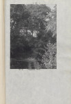 Ewidencja parkowa, skan nr 66