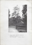 EP - Ewidencja parkowa, skan nr 21