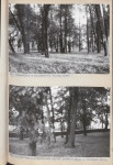 Ewidencja parkowa, skan nr 50