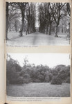 Ewidencja parkowa, skan nr 52