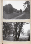 Ewidencja parkowa, skan nr 53