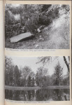 Ewidencja parkowa, skan nr 56