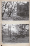 Ewidencja parkowa, skan nr 58
