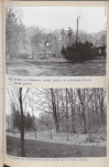 Ewidencja parkowa, skan nr 59