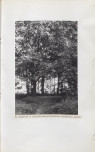 Ewidencja parkowa, skan nr 46