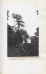 Ewidencja parkowa, skan nr 52