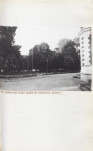 Ewidencja parkowa, skan nr 59
