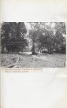 Ewidencja parkowa, skan nr 68
