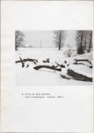 Ewidencja parkowa, skan nr 25