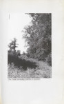 EP - Ewidencja parkowa, skan nr 43