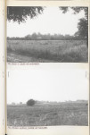 Ewidencja parkowa, skan nr 43