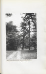 EP - Ewidencja parkowa, skan nr 46