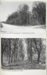 Ewidencja parkowa, skan nr 26