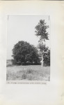 Ewidencja parkowa, skan nr 30