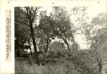 Ewidencja parkowa, skan nr 23