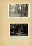 Ewidencja parkowa, skan nr 20