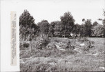 Ewidencja parkowa, skan nr 26