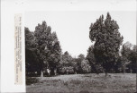 Ewidencja parkowa, skan nr 28