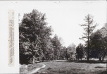 Ewidencja parkowa, skan nr 29