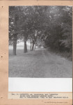 Ewidencja parkowa, skan nr 31