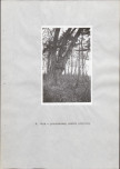Ewidencja parkowa, skan nr 24