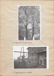 EP - Ewidencja parkowa, skan nr 21